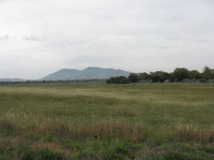 Diablo Valley grassy field with Mt. Diablo